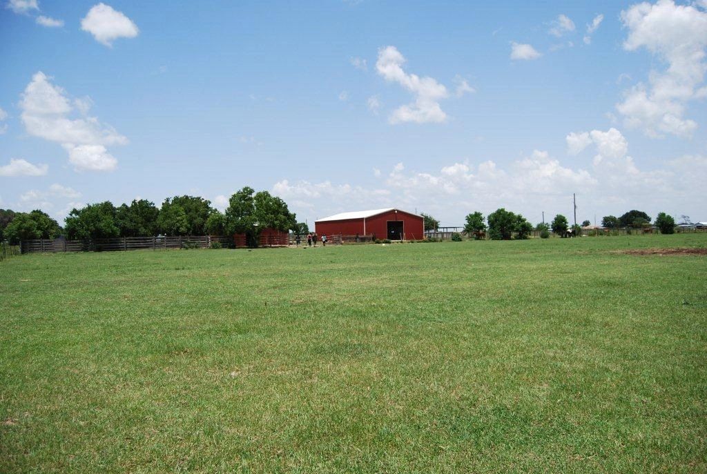 Mandola Farm & Ranch — horses in open pasture